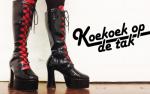 Hondje van Mary speelt Koekoek op de tak